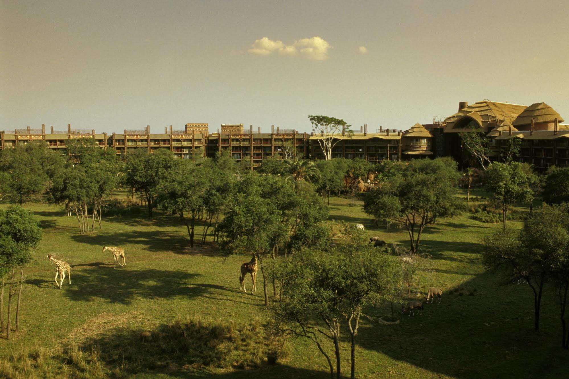 לייק בואנה ויסטה Disney'S Animal Kingdom Villas - Kidani Village מראה חיצוני תמונה